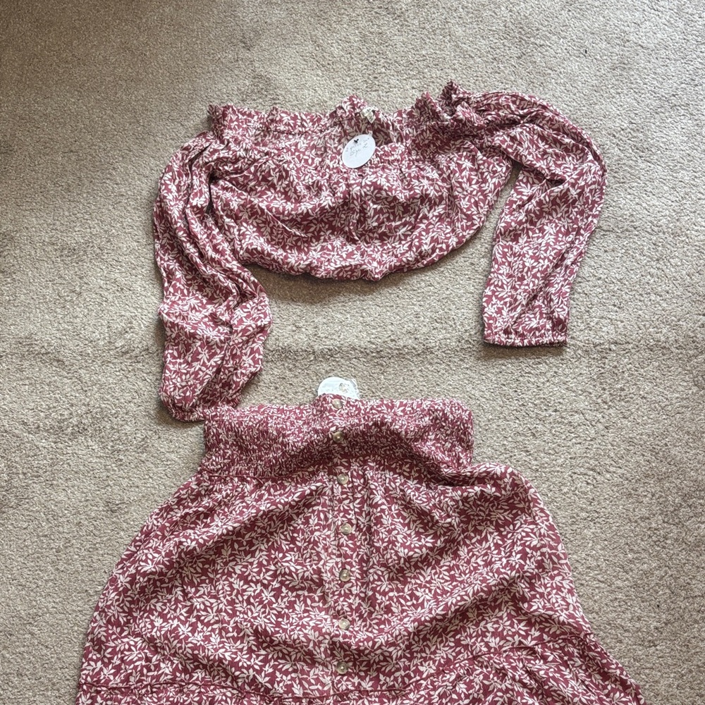 En Creme Two-Piece Floral Crop Top and Skirt Set in Dusty Rose and Cream